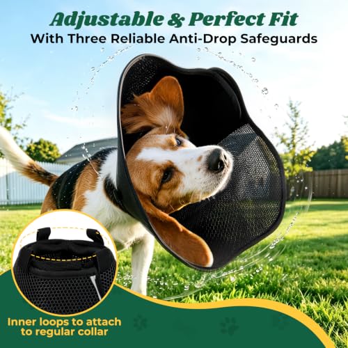 Soft Dog Cone Collar (Black / L(Neck Girth: 15.5''-17.5''))