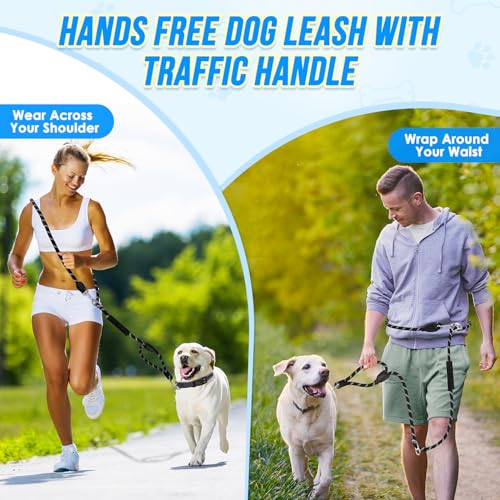 Hands Free Dog Leash (Black)