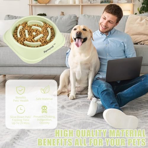 Slow Feeder Dog Bowls for Large Dogs (Large / Green)