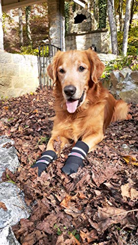 All Weather Neoprene Paw Protector Dog Boots with Reflective Straps in 5 Sizes! (XL)
