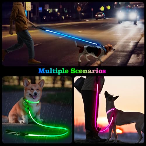 Light Up Dog Leash 5FT Double (5 Ft)