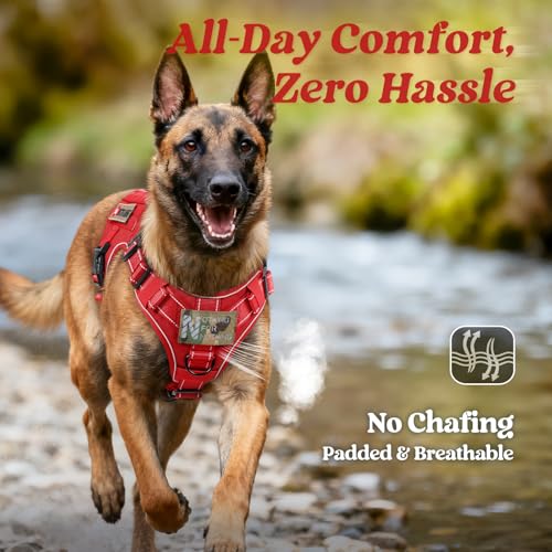 Tactical Dog Harness for Small (Red Reflex / Small)