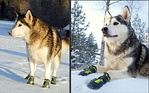 Dog Shoes Waterproof Anti (7# / Neon Yellow)