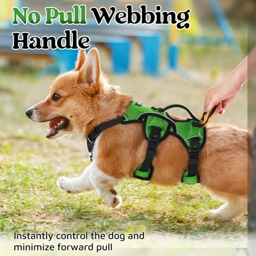Escape Proof Dog Harness for Small (Green / Small)