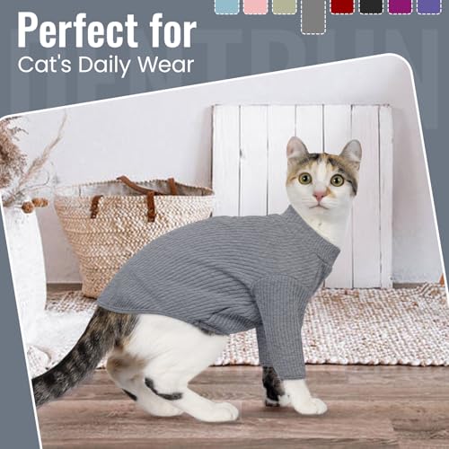 Sphynx Hairless Cats Shirt Pullover Kitten T (Small / Grey)
