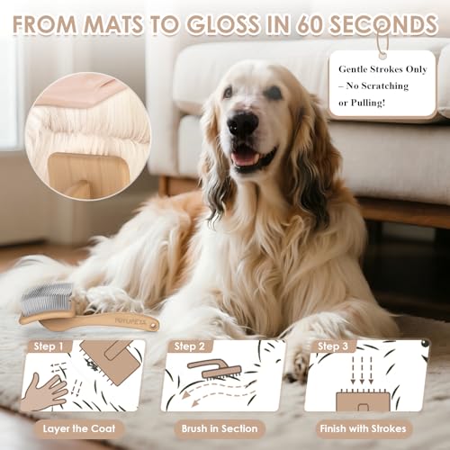 Large Dog 3 in 1 Grooming Kit (Natural)