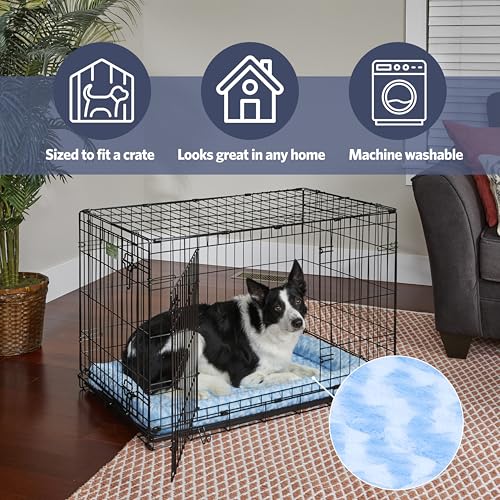 QuietTime Fashion Dog Bed (Blue / 24 Inch)