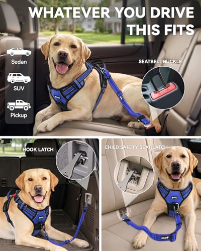 3-in-1 Bungee Dog Seat Belt for Car, Medium Large Dogs, Navy Blue (Navy Blue / (21.6-31.5) inch)