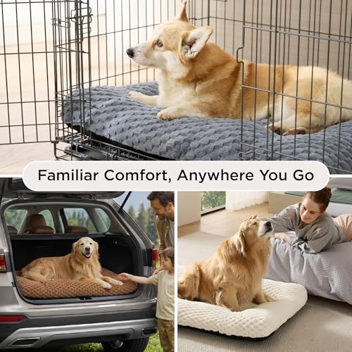 Washable Dog Bed for Crate Large Sized Dog (Beige / 35x23x3.5)
