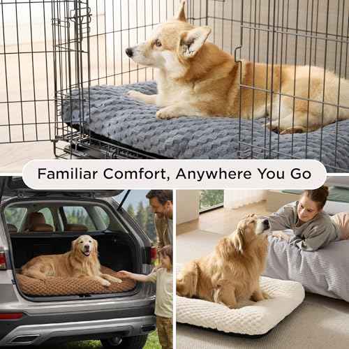 Small Washable Dog Bed for Crate (Beige / 23x17x3)