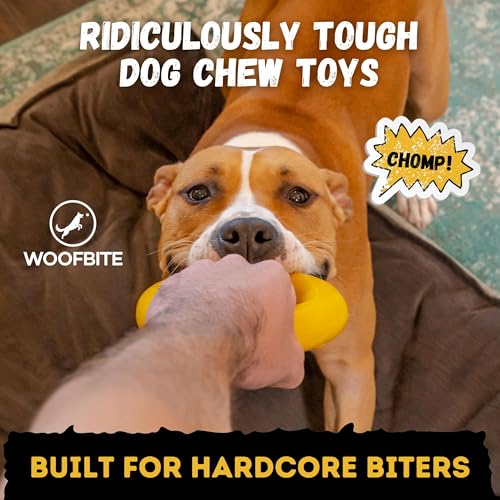 Indestructible Dog Chew Toy