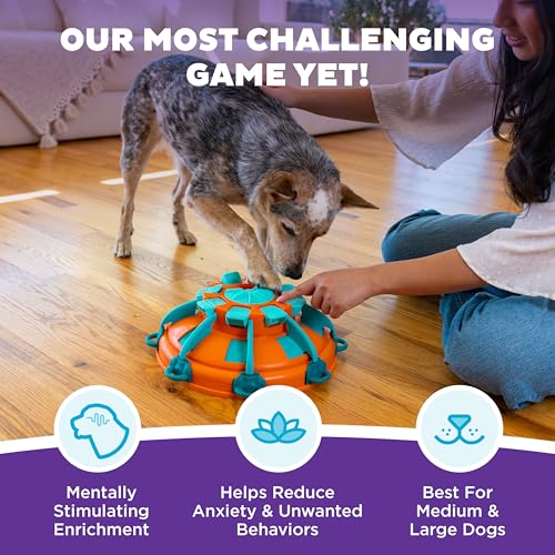 Nina Ottosson Tower of Treats Dog Toy Treat Puzzle (Tower of Treats (Orange, Blue) / 1 Count (Pack of 1))