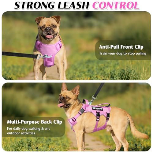 Escape Proof Dog Harness with Double Handle+4 Removable Patches (Small / Pink)