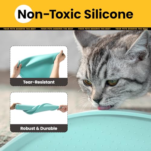 Silicone Dog Food Mat (19"L x 12"W / Turquoise)