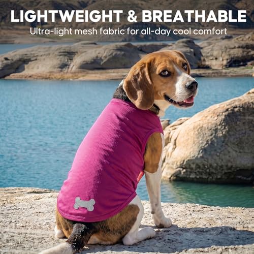 2Pack Dog Shirts for Small Dogs Breathable Mesh Tank Top (Small (4-7lbs) / 5# 2Pack (Strawberry+rose))