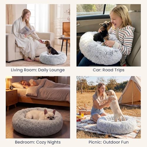 Small Dog Bed (01 - Smoke Grey / 20.0"L x 20.0"W x 6.0"Th)