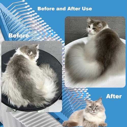 Cat brush Cat Brush for Long or Short Haired Cats (Aauzre)