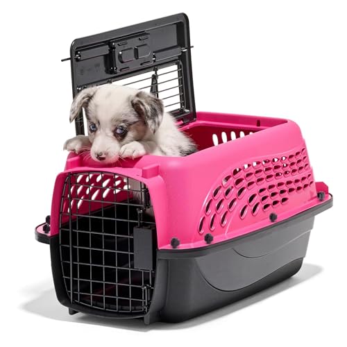 Two Door Plastic Pet Kennel (Two-door / 19.4"L x 10.0"W x 12.8"H / PINK)