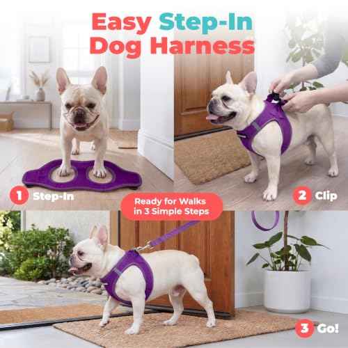 Voyager Step in Air Dog Vest Harness (Purple / XL (Chest: 20.5 - 23"))
