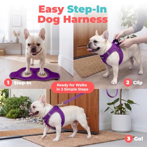 Voyager Step in Air Harness (Harness (Purple) / XXS (Chest: 12 - 13.5"))
