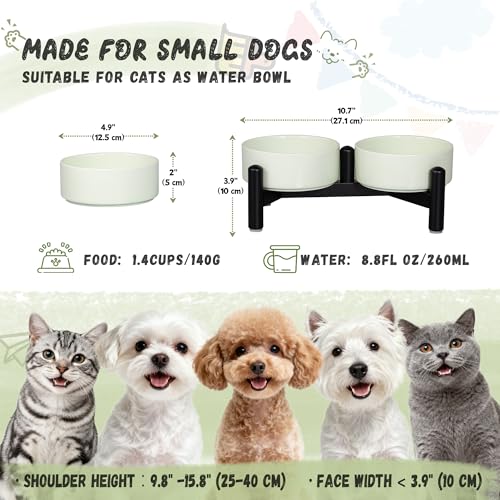 Elevated Ceramic Dog Bowl Set (Green / 1.4 Cups)
