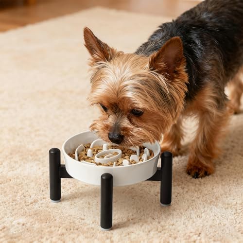Elevated Slow Feeder Dog Bowl (White / S（1 Bowl with Stainless Steel Stand）)