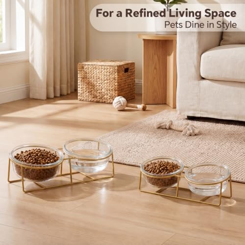 Elevated Dog Bowl Set of 2 (Large / glass×2)