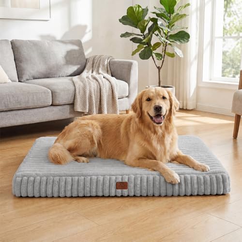 Orthopedic Dog Bed for XL Dog (Grey / 42"x30"x4")
