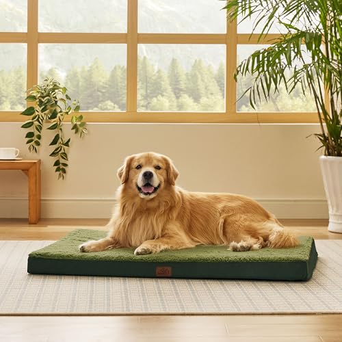 XL Dog Bed Extra Large Pet Bed with Comfy Sherpa (44"L x 32"W x 3"Th / Dark Green)