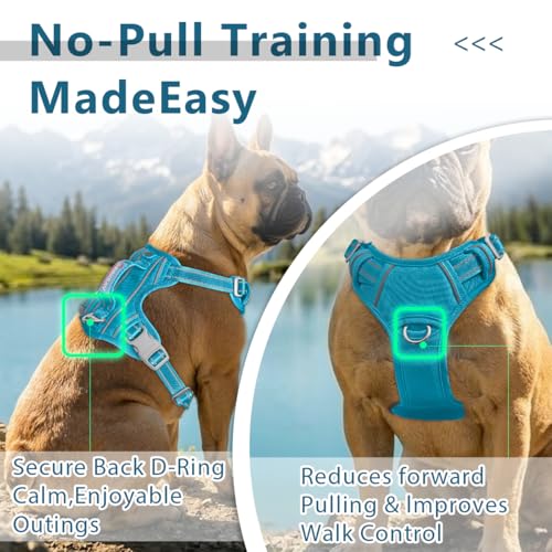 No Pull Dog Harness for Medium Sized Dogs (Medium(Chest:22.5-28") / Aqua-Oxford)