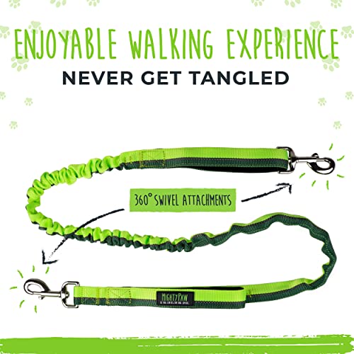 Hands Free Dog Leash (48" / Green)
