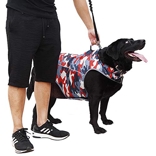 Dog Anxiety Jacket (XL)