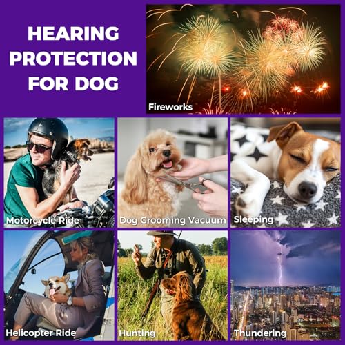 Dog Ear Muffs for Noise Protection (Purple / Large)