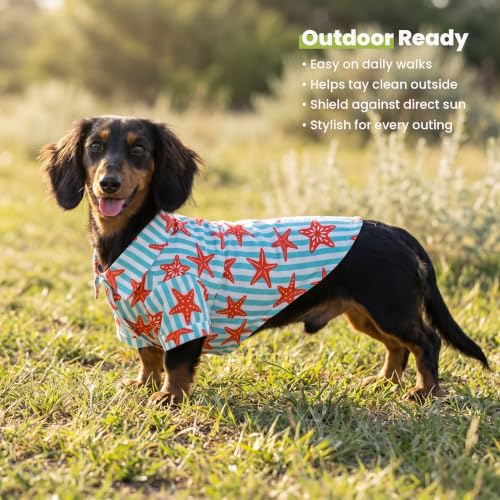 Starfish Striped Dog Shirt (Small / Starfish)