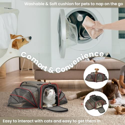 Airline Approved Expandable Large Cat Carrier Small Dog Carrier (17.0"L x 11.0"W x 11.0"H / Gray Brown)