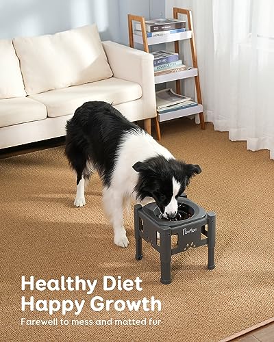 35oz Elevated Slow Feeder Dog Food Bowls with Adjustable Stand (Grey)