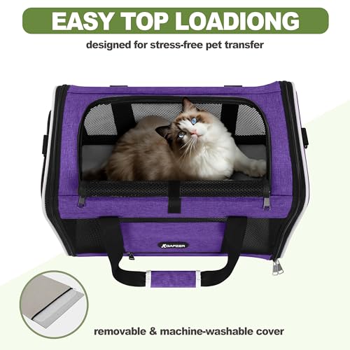 Pet Carrier for Cat 18x11x11 Inch (Purple / 18.0"L x 11.0"W x 11.0"H)