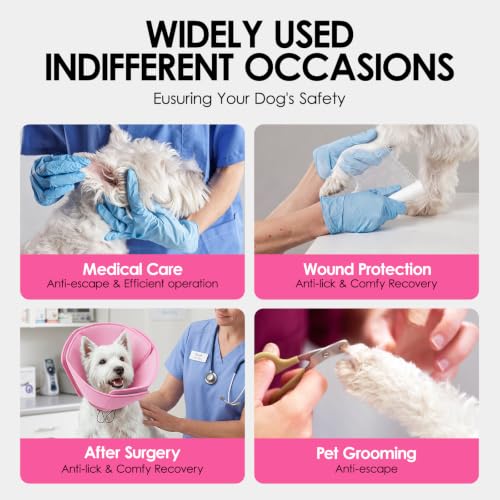 Soft Dog Cone (Pink / Large)