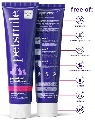Teeth Brushing Kit (4.2 Ounce (Pack of 1))