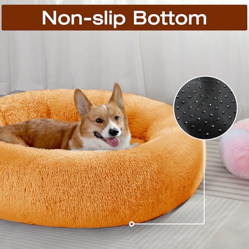Dog & Cat Bed (23" / Orange)