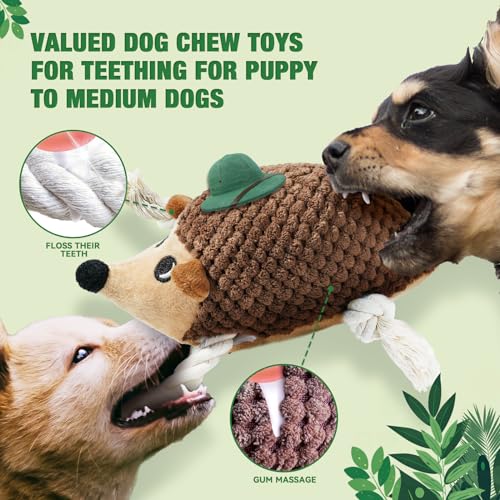 Dog Squeaky Toys for Puppy (5 Pack)