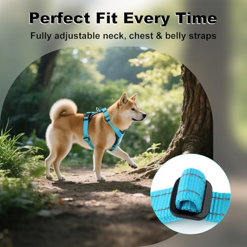 No Pull Dog Harness with Leather Accents (XL / Light Blue)