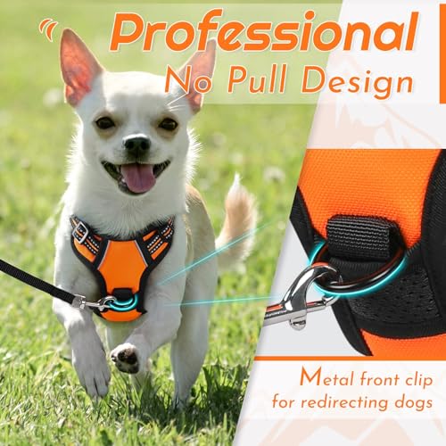 Dog Harness for Small Dogs (X-Small / Orange)