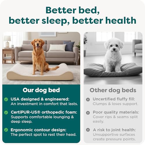 Orthopedic Dog Bed for Large Dogs (Jumbo/XL / Cream)