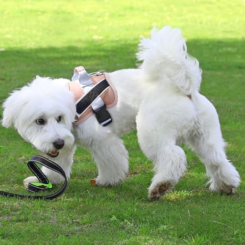 Dog Harness No (X-Small (Pack of 1) / RosePink)
