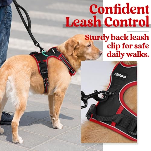 Dog Harness No Pull for Large Dogs with 2 Leash Clips (Large / Black & Red)