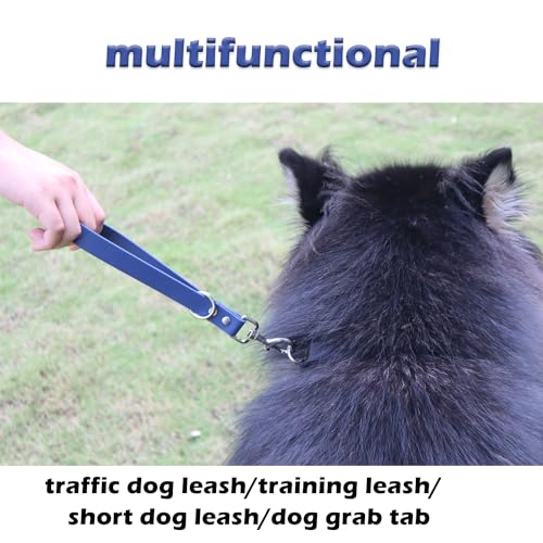Short Dog Leash (10 inch / Blue & Orange)