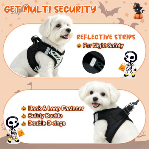 Halloween Dog Harness Medium Sized and Leash Set (Small(Chest Girth 14.5" - 16") / Halloween Black)