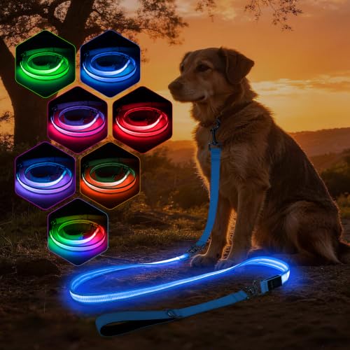 Light Up Dog Leash (Blue / 6FT)