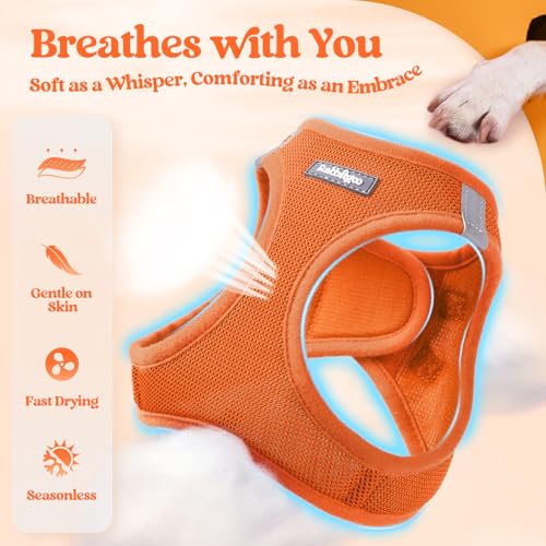 Dog Harness Medium Sized and Leash Set (Orange / Xl (chest: 20 - 21.8"))